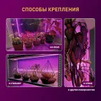Светодиодная лента для растений FITO-Strip Light-RB-2m красно-синего спектра, 2 м, IP65