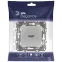 Розетка HDMI, Эра Elegance, алюминий, 14-3114-03