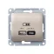 GLOSSA USB РОЗЕТКА A + тип-C 45W высокоскор.заряд. QC, PD, механизм, ТИТАН