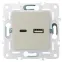 SKANDY Розетка USB A+C 3,1А SK-R14B бежевый IEK