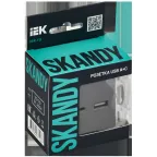 SKANDY Розетка USB A+C 3,1А SK-R14Gr серый IEK