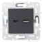 SKANDY Розетка USB A+C 3,1А SK-R14T титан IEK