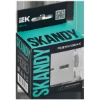 SKANDY Розетка USB A+C 18Вт SK-R13S серебряный IEK