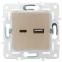 SKANDY Розетка USB A+C 3,1А SK-R14Sh шампань IEK