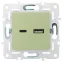 SKANDY Розетка USB A+C 3,1А SK-R14G мятный IEK