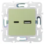 SKANDY Розетка USB A+C 3,1А SK-R14G мятный IEK