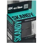 SKANDY Розетка USB A+C 18Вт SK-R13G графит IEK