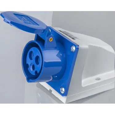 Розетка NCA-SR113-16-220 стационарная наружная 16А 2P+PE IP44