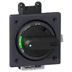 Рукоятка поворотная стандартная EZC250