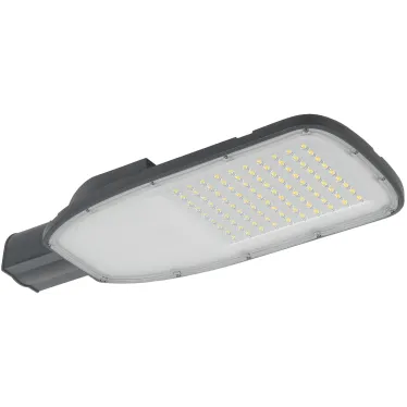 Светильник LED консольный уличный ДКУ 1004-200Ш 5000К IP65 серый