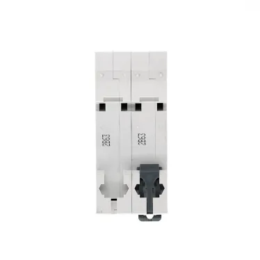 Выключатель автоматический двухполюсный 63А B 4.5kA 230В City9 Set