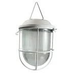                  Светильник светодиодный ДСП-01-09-104 36В IP54 Желудь LED
               