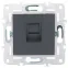 SKANDY Розетка компьютерная RJ45 кат.5E SK-K01T титан IEK