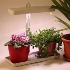 Светильник светодиодный для выращивания растений FITO-20W-QLED-W