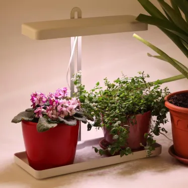 Светильник светодиодный для выращивания растений FITO-20W-QLED-W