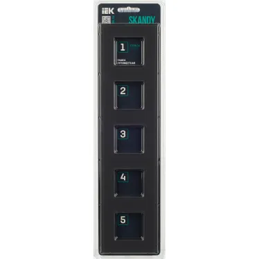 SKANDY Рамка 5-местная SK-F25G стекло графит IEK