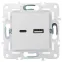 SKANDY Розетка USB A+C 3,1А SK-R14W арктический белый IEK