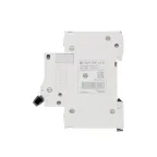 Выключатель автоматический двухполюсный 6А B 4.5kA 230В City9 Set