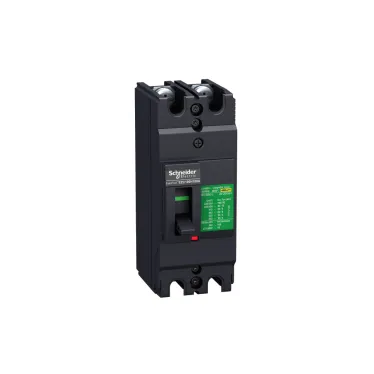 Выключатель автоматический двухполюсный EZC100 30 KA/380В 2Т 80 A