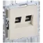 BRITE Розетка двойная RJ11+RJ45 кат.5E РК/Т12-БрКр бежевый