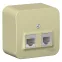 Розетка открытой установки BLANCA двойная, компьютерная RJ45, кат.5E + телефонная RJ11, с изолирующей пластиной, белый, бежевый