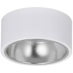                  LIGHTING Светильник 4017 накладной потолочный под лампу GX53 белый/хром IEK
               