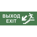                  Этикетка самоклеющаяся 200х60мм Выход/лестница вниз/фигура DPA/DBA INFO-DBA-013
               