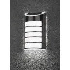 Фасадная подсветка Сталь, на солнечной батарее, 5LED, 17lm ERAFS024-40