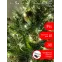 ENON-5B Гирлянда LED Нить 5 м теплый свет, 24V, IP44 (80/1920) необходим трансформатор Б0041911 приобретается отдельно