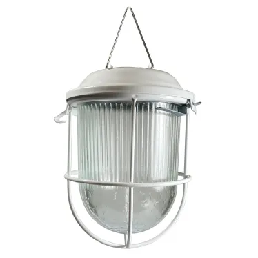 Светильник ДСП 01-09-002 IP54 Желудь LED 220В с решеткой
