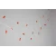 Гирлянда садовая Божьи коровки на солнечной батарее 7м (длина рабочей части 5 метров) 2 режима 25 LED ERASF23-19 ЭРА