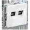 BRITE Розетка двойная RJ11+RJ45 кат.5E РК/Т12-БрБ белый