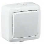                  Выключатель одноклавишный наружный белый IP44 16А
               