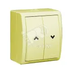                  15 Aqua Переключатель для жалюзи с электрической блокировкой IP54 10А 250В винтовой зажим S15A с.кость
               