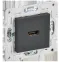 SKANDY Розетка HDMI SK-H01T титан IEK