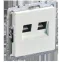 BRITE Розетка компьютерная двойная кат.5E RJ45 РК10-2-БрЖ жемчуг