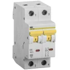                  Выключатель автоматический ВА47-60M 2Р 6А 6кА D
               