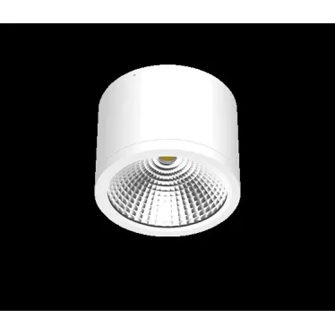 Светильник ДПО-39-15-001 Сylinder 840 15Вт 1301Лм IP54