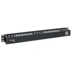                  Органайзер кабельный TERACOM PRO с крышкой 19'' 1U пластиковый черный
               