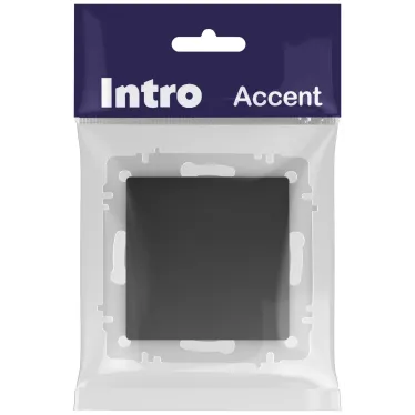 Кнопка Intro Accent 6-109-05 , 10А-250В, IP20, СУ, антрацит