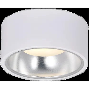 LIGHTING Светильник 4017 накладной потолочный под лампу GX53 белый/хром IEK