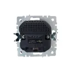 BRITE Розетка с заземлением с защитными шторками 16А с USB A+A 3,1А РЮш10-2-БрА алюминий