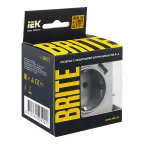 BRITE Розетка с заземлением с защитными шторками 16А с USB A+A 3,1А РЮш10-2-БрА алюминий