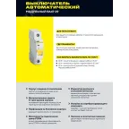 Выключатель автоматический двухполюсный 13А D ВА47-29 4.5кА