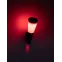 Светильник уличный ERAFS012-09 на солнечной батарее настенный Факел RGB 1 LED