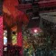 Подвесной светильник с лазерной проекцией красные точки,на солн. бат.,3LED,3 lm ERAFS024-06