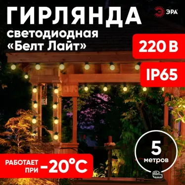 Гирлянда Белт Лайт набор 5 м ERABL-WS5 , 15 LED ламп (шаг 30 см), теплый свет, 220 В, каучук