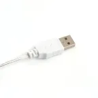 Гирлянда линейная Роса LED мультиколор 10м USB