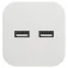 Разветвитель электрический SP-2-USB-W на 2 розетки + 2xUSB 2400mA, без заземл 10А (белый)