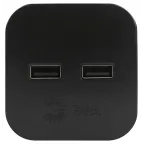 Разветвитель электрический SP-2-USB-B на 2 розетки + 2xUSB 2400mA, без заземл 10А (черный)